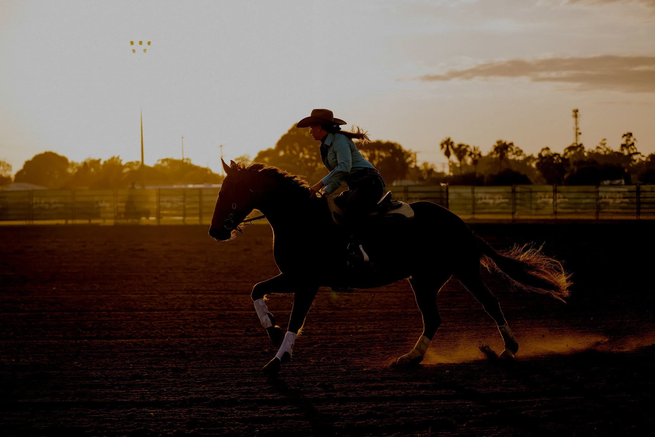 Horse and rider at sunset